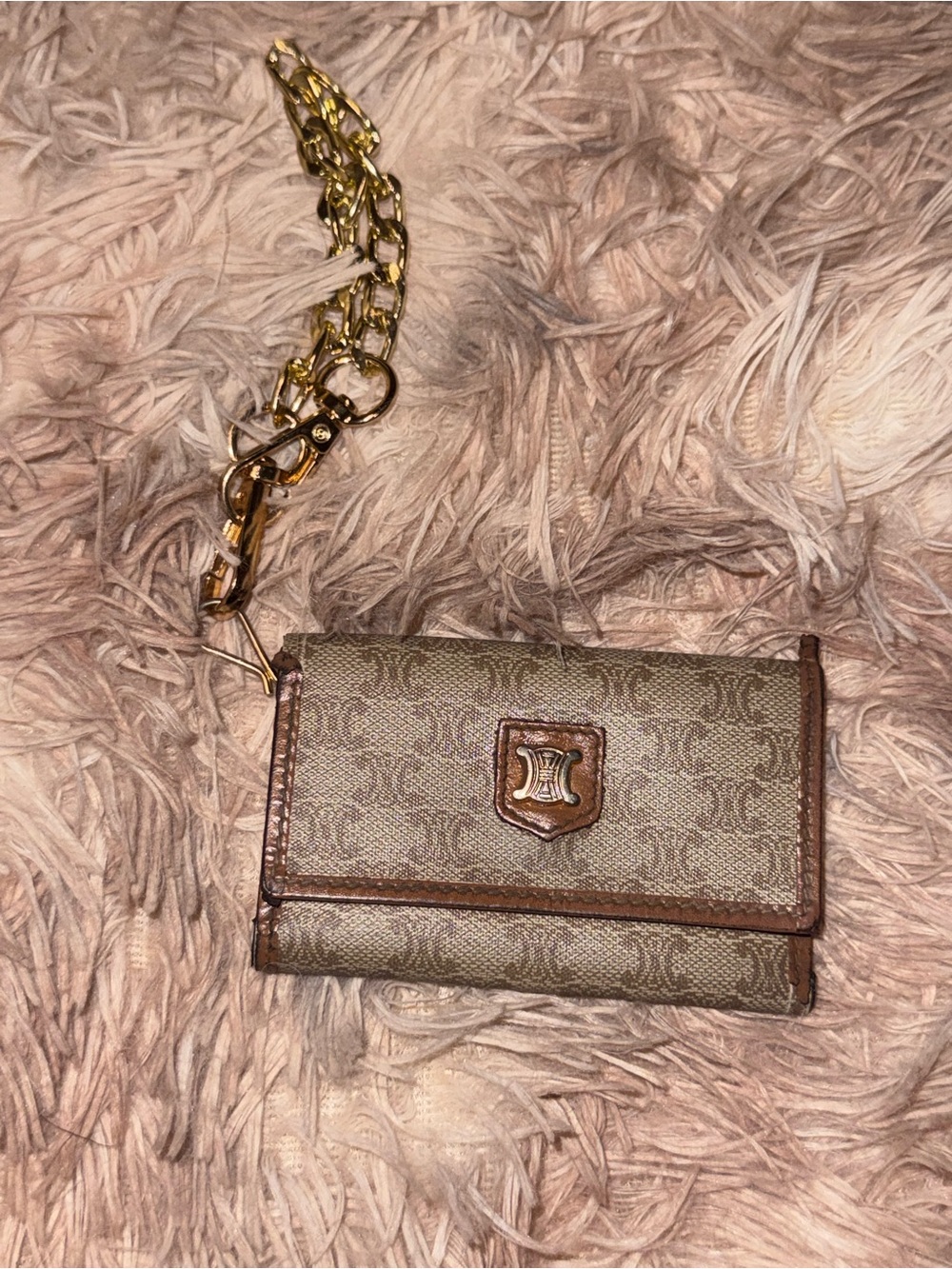 PROJECT Vintage Celine Macadam Triomphe Key Holder Case M12 + Chain